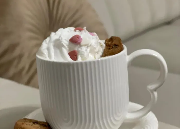 Lux Apartman Novi Sad